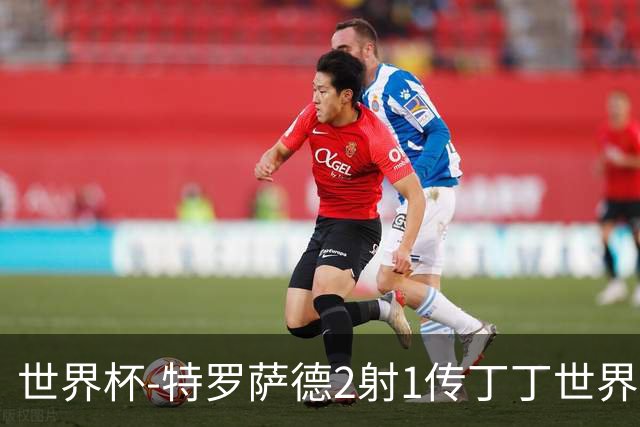 世界杯-特罗萨德2射1传丁丁世界波 比利时5-1新西兰获头名