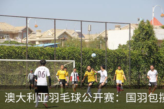 澳大利亚羽毛球公开赛：国羽包揽双打三项冠军